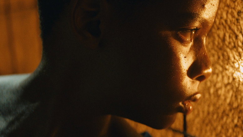 Tropic of Violence still 8