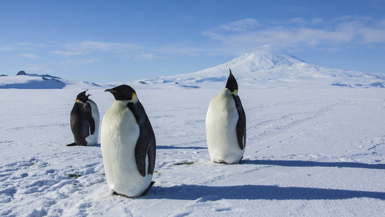 Antarctica: A Year on Ice still 3