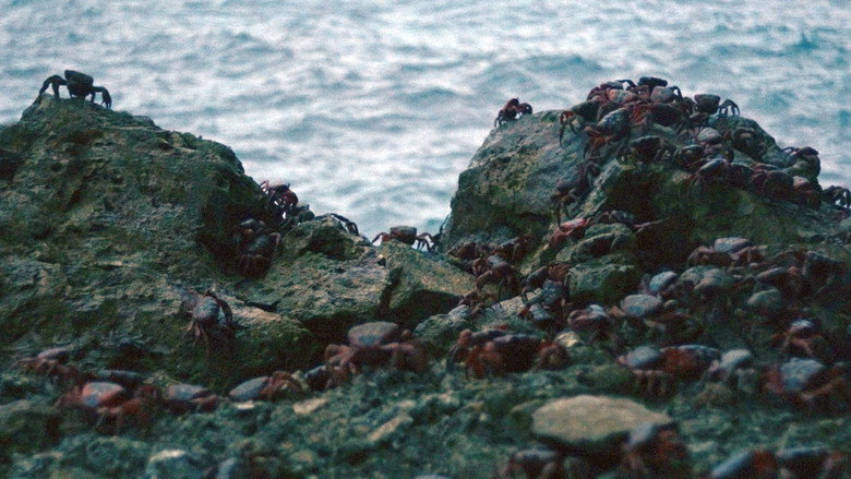 Island of the Hungry Ghosts still 4