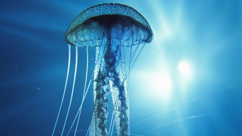 Into the Deep still 1