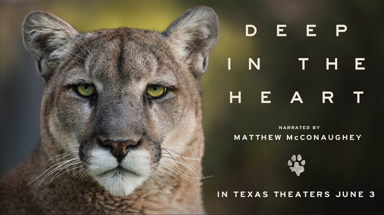 Deep in the Heart: A Texas Wildlife Story still 3