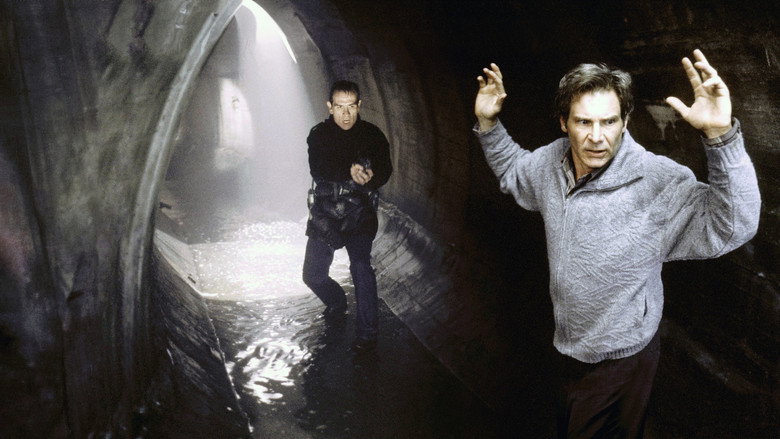 The Fugitive still 4