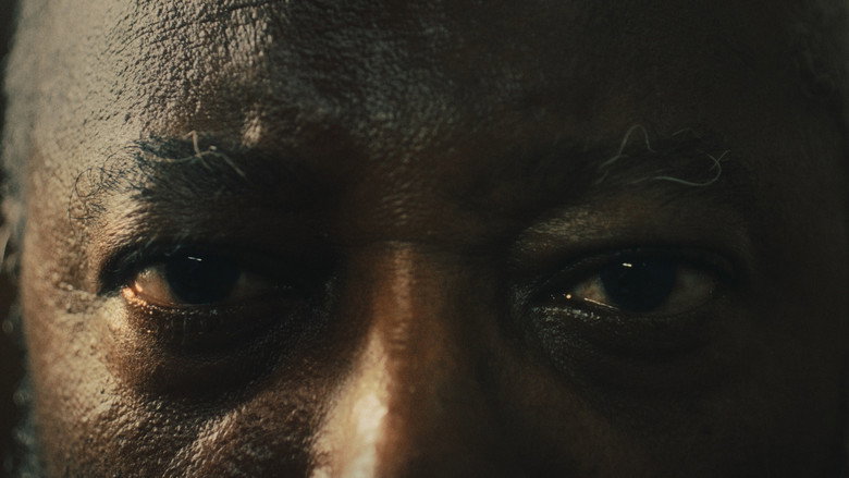 Seco still 2