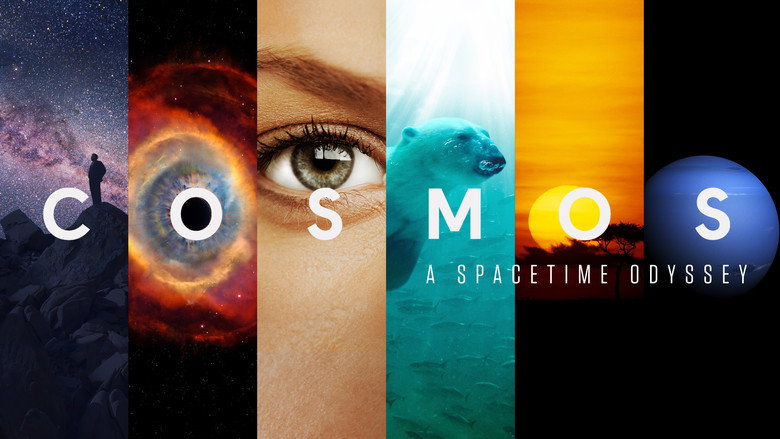 Cosmos still 5