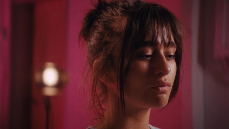 The Hermit still 5