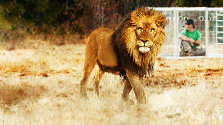 Man V. Lion still 2
