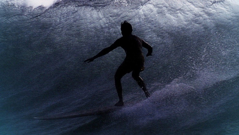 Surf Crazy still 2