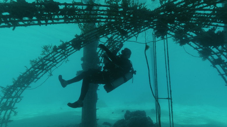 Bora Bora, le laboratoire du futur still 1