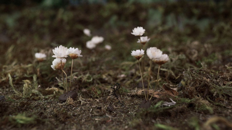 Fim still 2