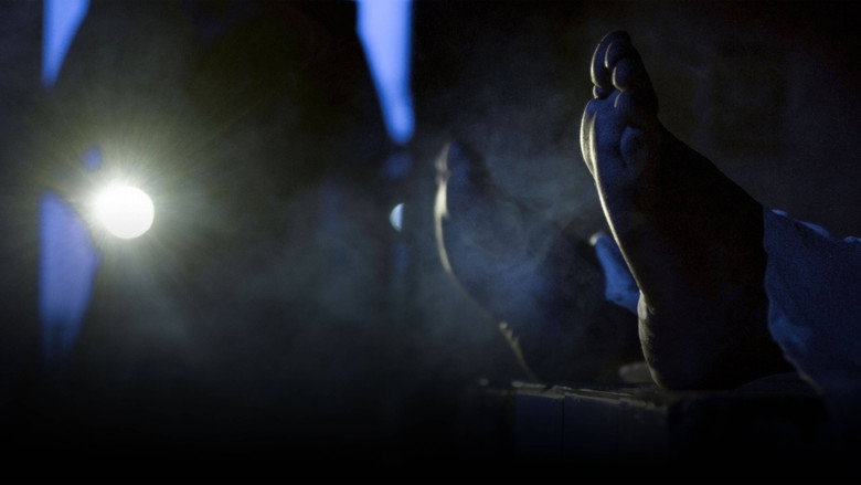 Morgue still 1