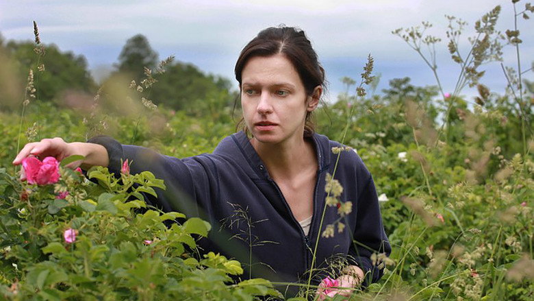Wild Roses still 2