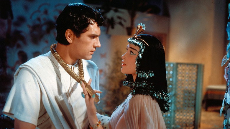 The Egyptian still 3