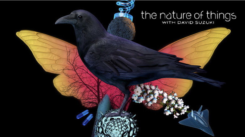 The Nature of Things still 4