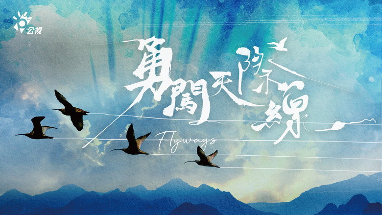 Flyways: The Untold Journey of Migratory Shorebirds still 2