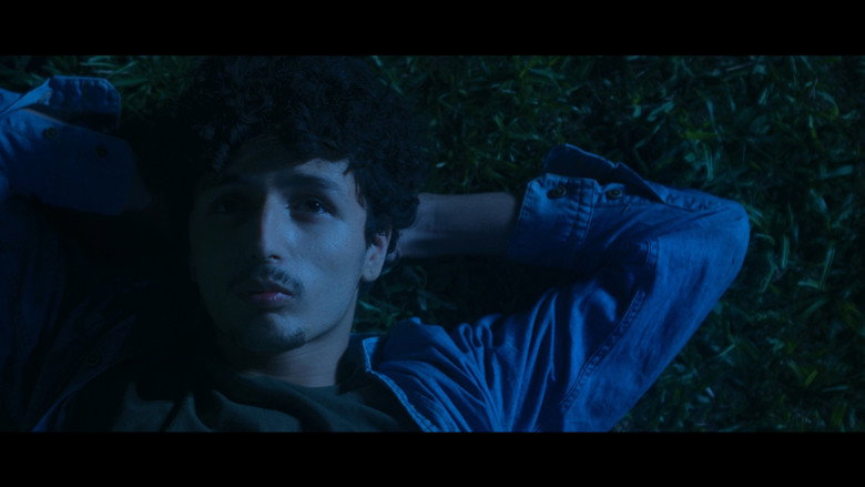 Las estrellas son de colores still 2