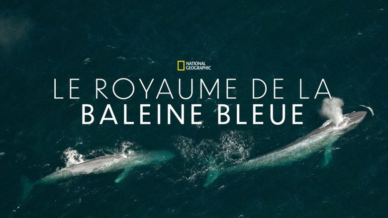 Kingdom of the Blue Whale still 7