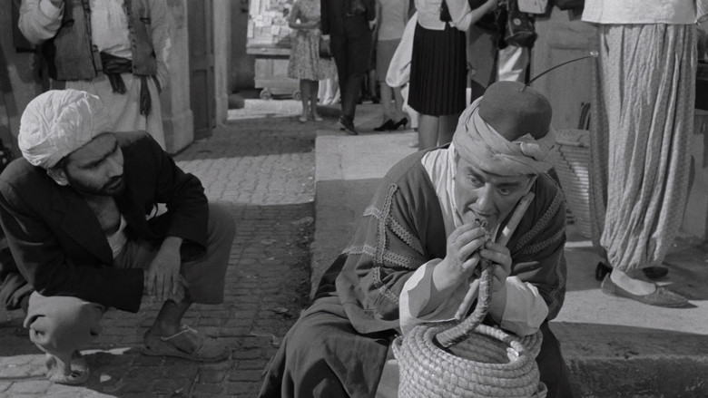 Carry On Spying still 6