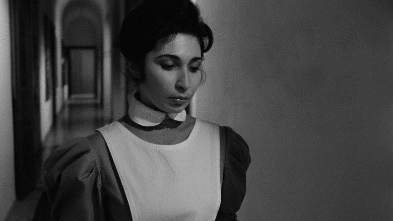 The Climber still 2