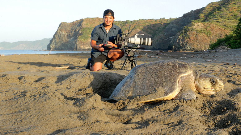 Jaguar Beach Battle still 3