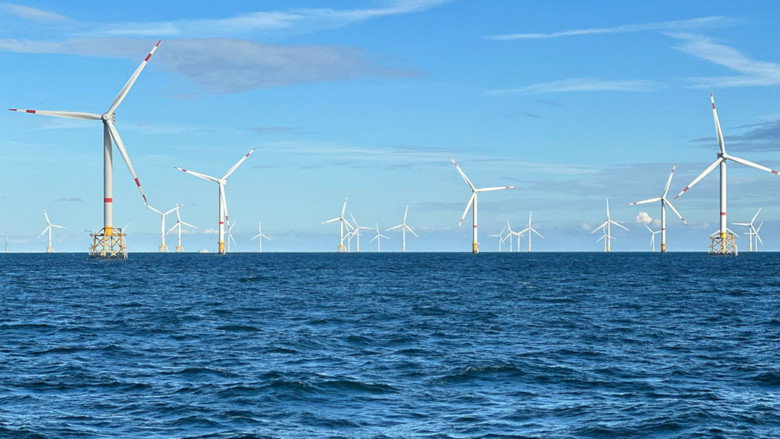 Windparks im Meer - Chance oder Risiko für die Natur? still 1