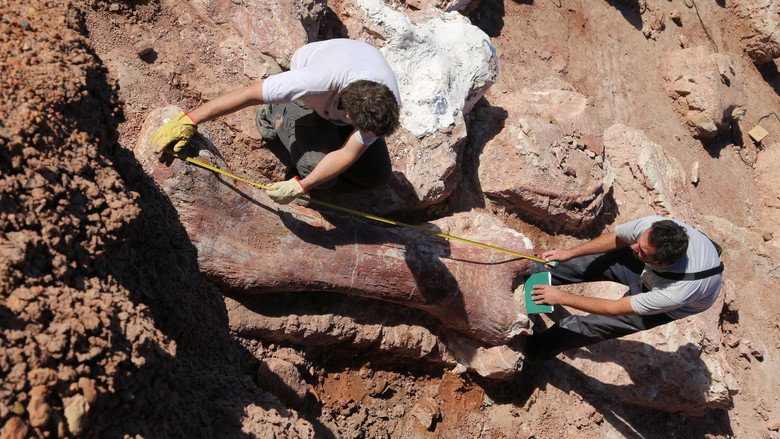 Attenborough and the Giant Dinosaur still 1