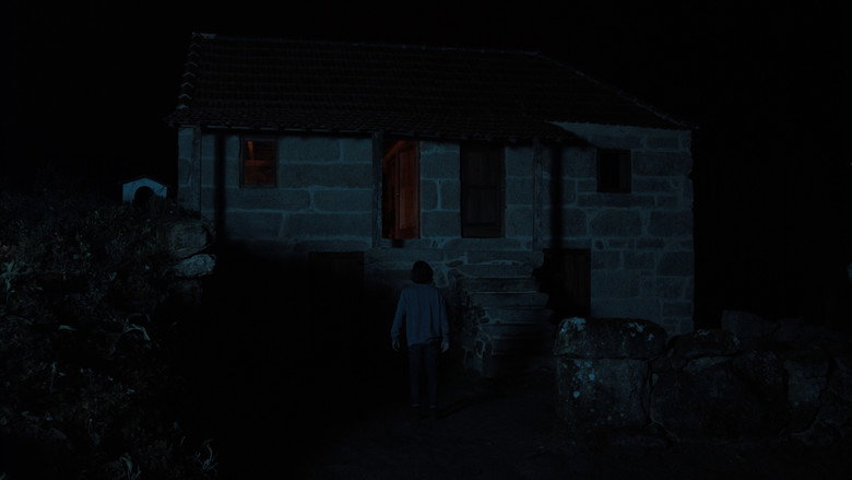 A Floresta still 6