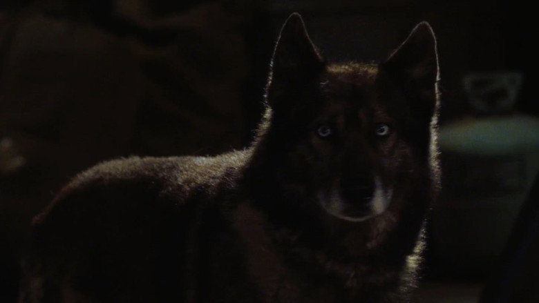 Howling still 5