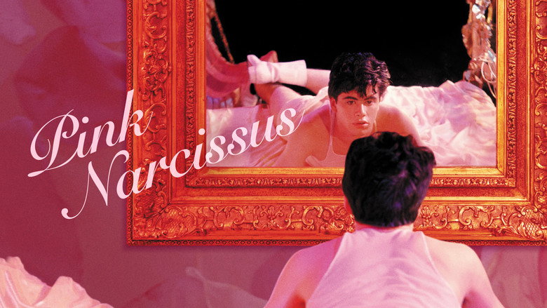 Pink Narcissus still 1