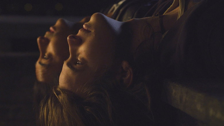 Holiday still 1