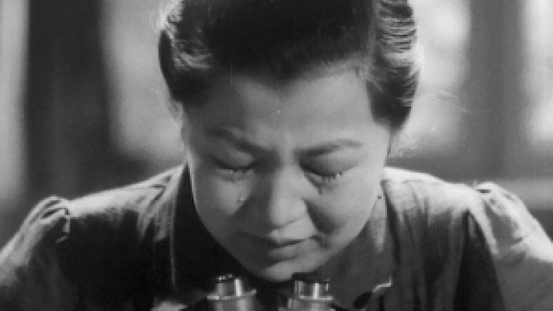 The Most Beautiful still 1