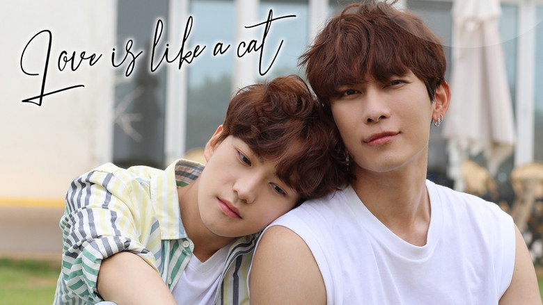 Love Is Like A Cat still 1