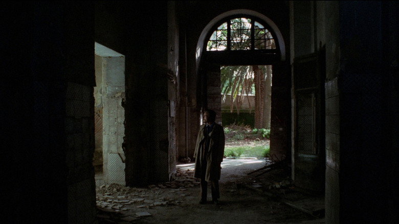 The Fifth Cord still 5
