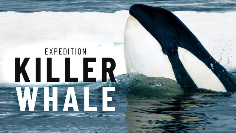 Expedition Killer Whale still 1