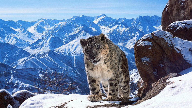 Planet Earth II still 3