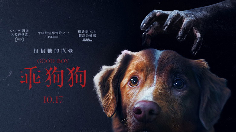 Good Boy still 3