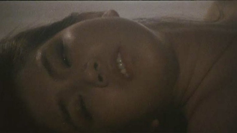 Groper Train: Search for the Black Pearl still 2