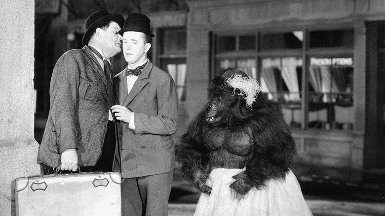 The Chimp still 1