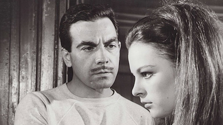 Kumarbazın İntikamı still 1