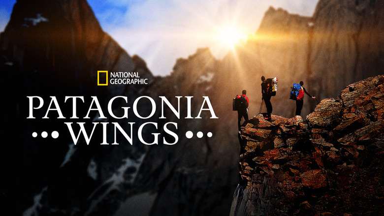 Patagonia Wings still 3