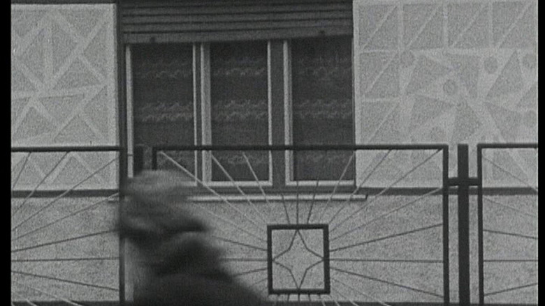 A ház still 1