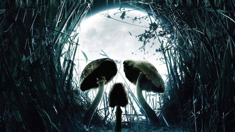 Shrooms still 1