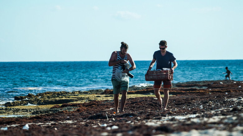 An Ocean Story still 1