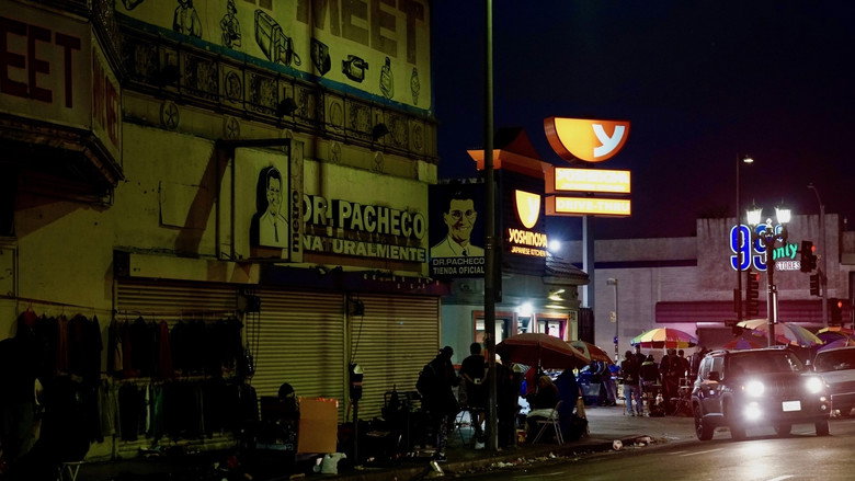 The Blade Runner Phenomenon still 8