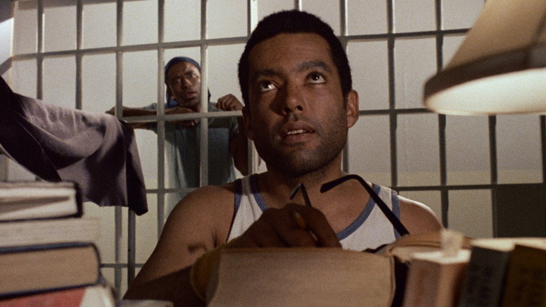 Chameleon Street still 5