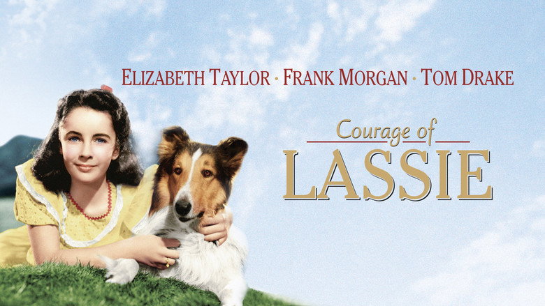 Courage of Lassie still 1