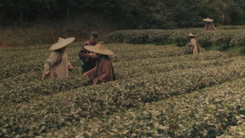 Tea War: The Adventures of Robert Fortune still 5