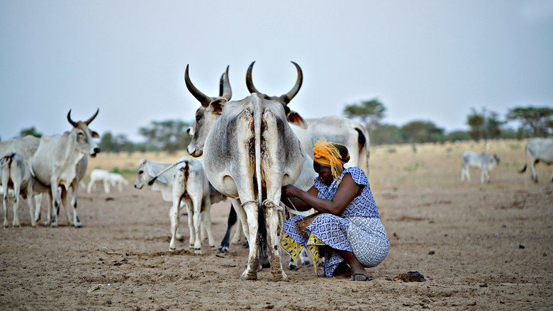 The Milk System still 2