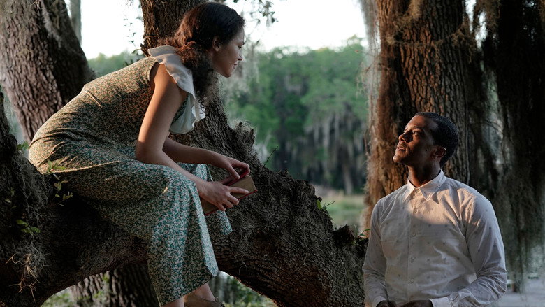 A Jazzman's Blues still 4