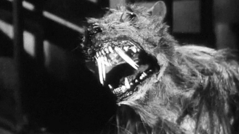 The Killer Shrews still 5