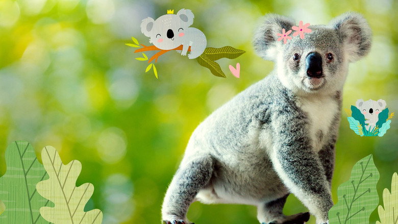 Izzy's Koala World still 8